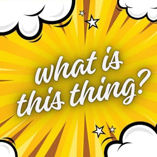 What is this thing? cover image