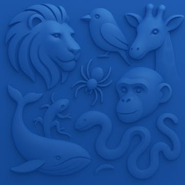 Wildlife cover image