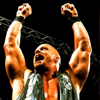 WWF War Zone cover image