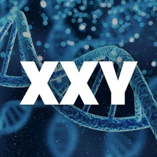 XXY cover image